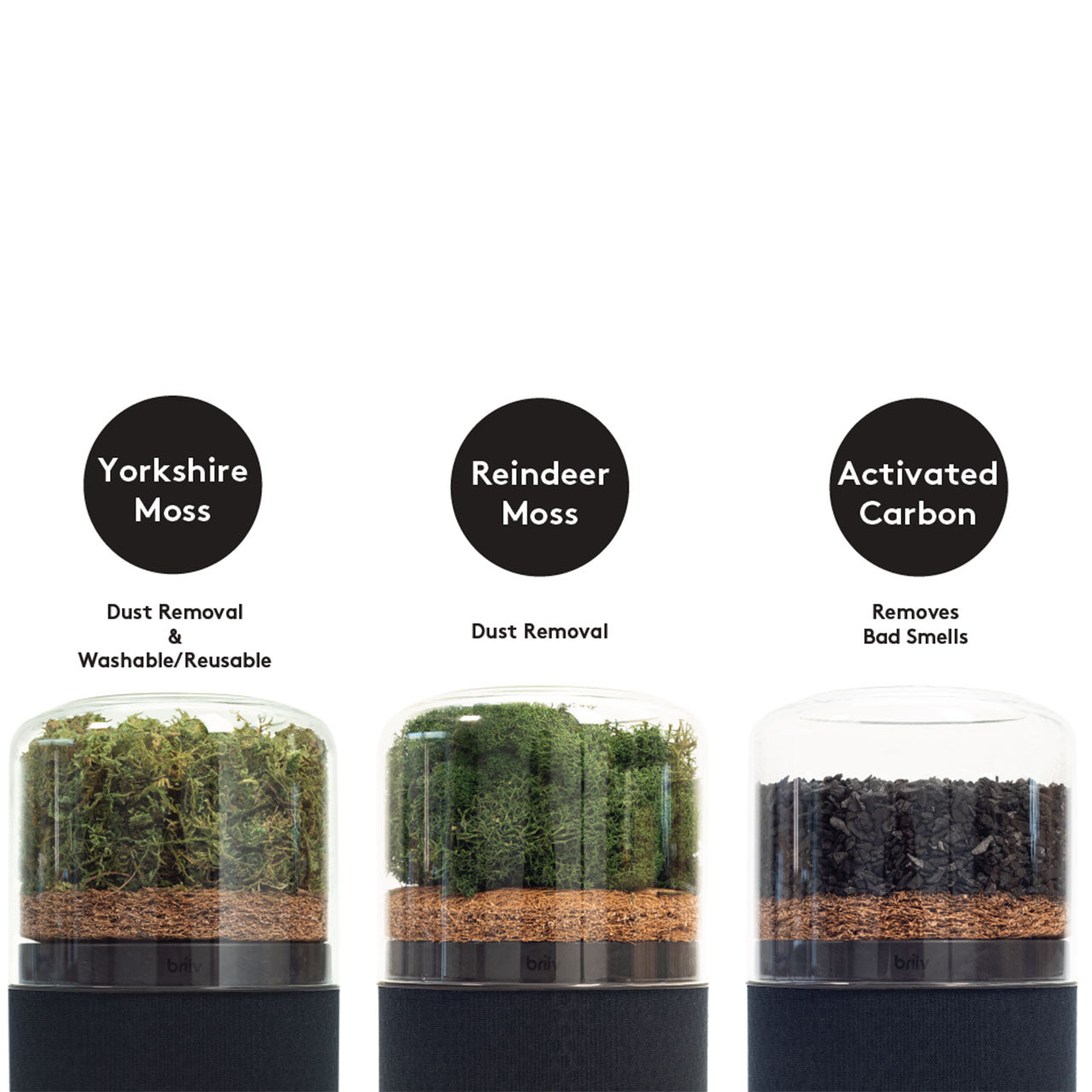 Briiv Natürlicher Luftreiniger