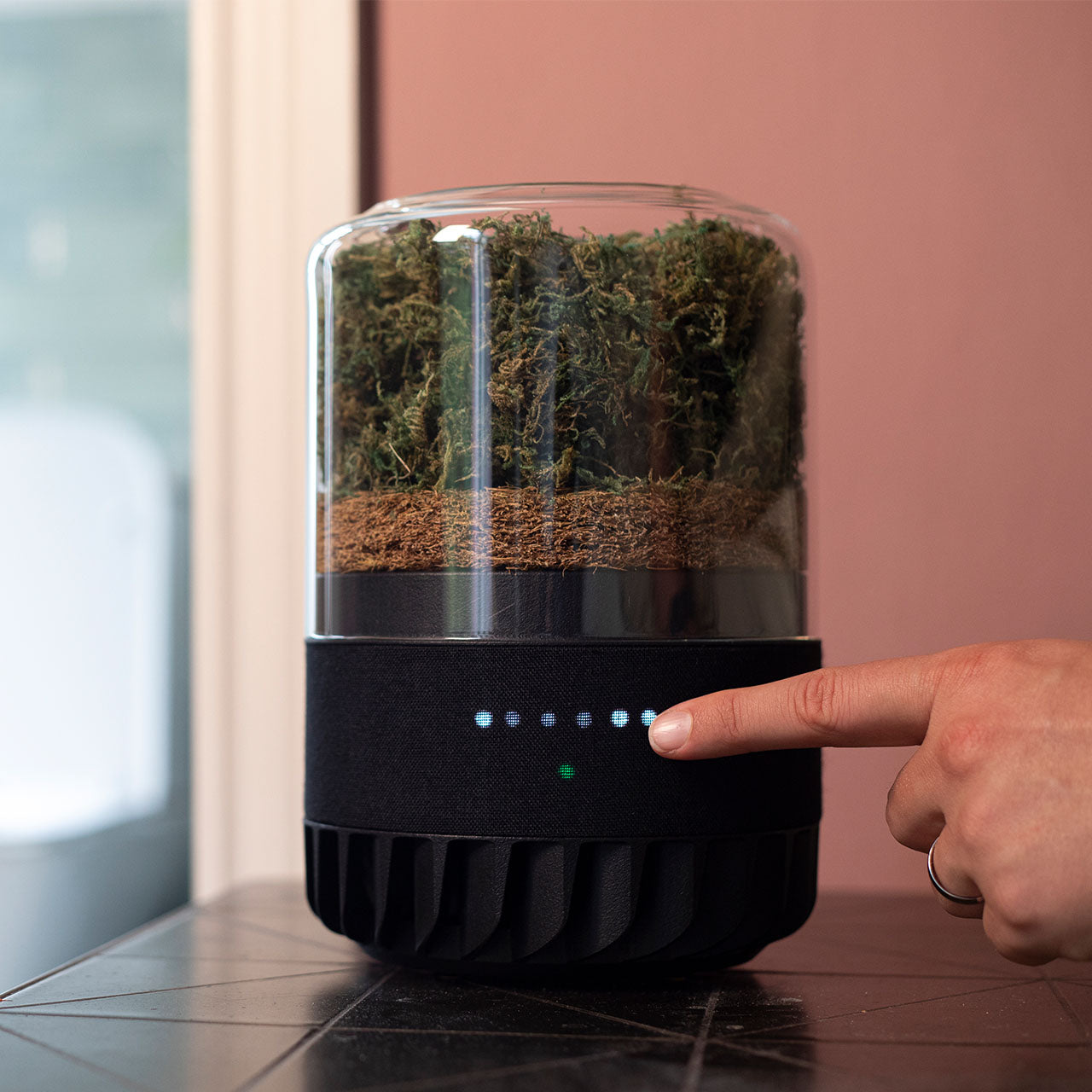 Briiv Natürlicher Luftreiniger