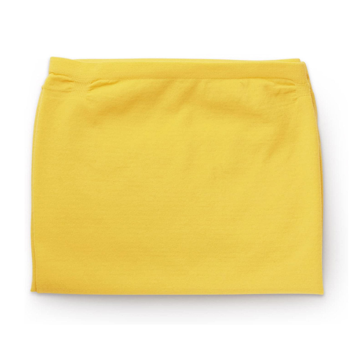 Blueair Grobstaubfilter für Joy S