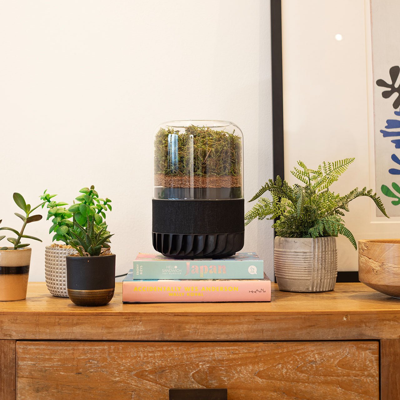 Briiv Natürlicher Luftreiniger