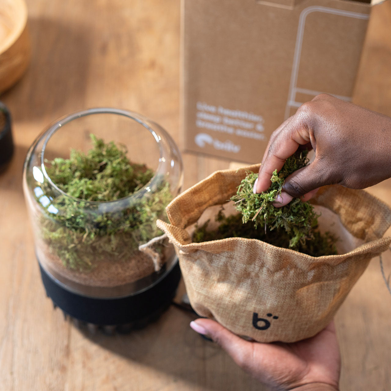 Briiv Natürlicher Luftreiniger