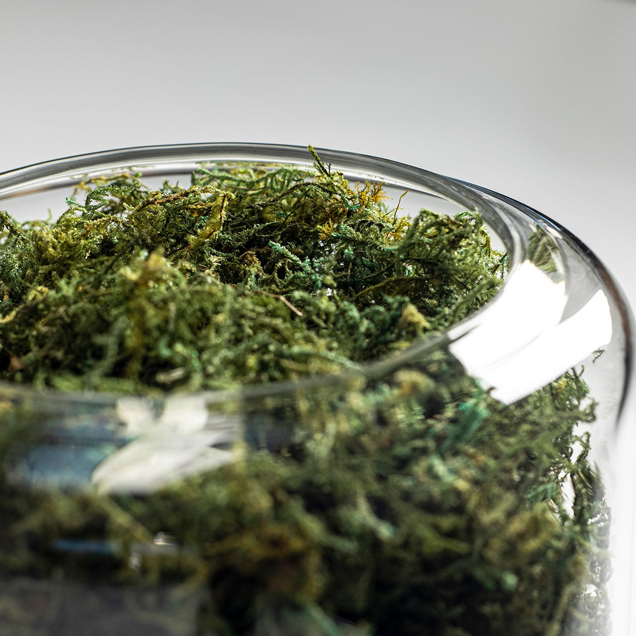 Briiv Natürlicher Luftreiniger