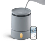 Blueair DreamWell H38i Luftbefeuchter in Grau, Wasser wird eingefüllt, daneben Smartphone mit App-Anzeige